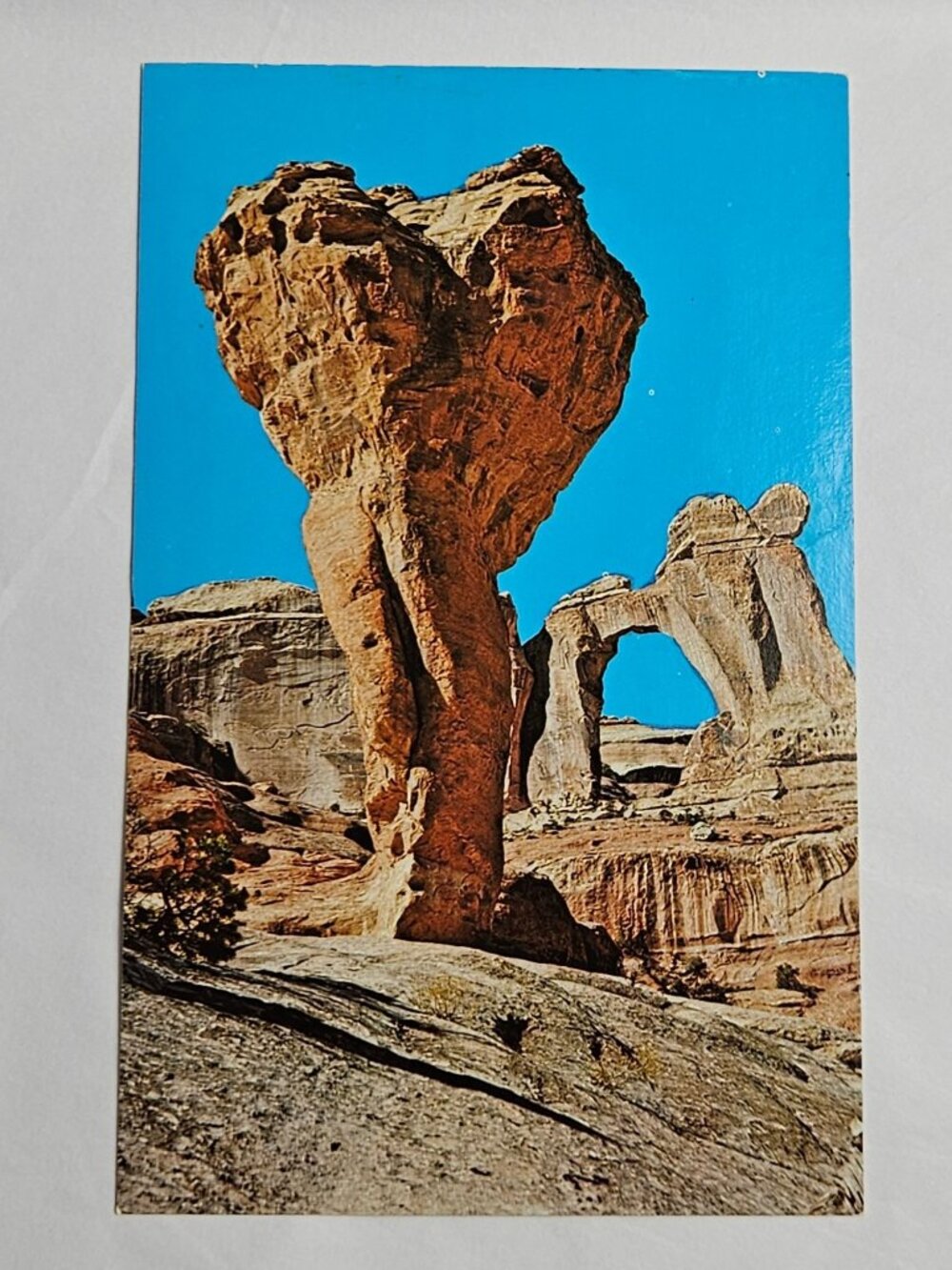 Molar Rock and Angel Arch Canyonlands National Park Utah Postcard